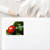 Étiquette Ladybug (En situation)