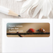 Étiquette Ladybugs Jouer Suivre L'Adresse Leader (En situation)