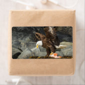 Étiquette L'aigle chauve ultime (En situation)