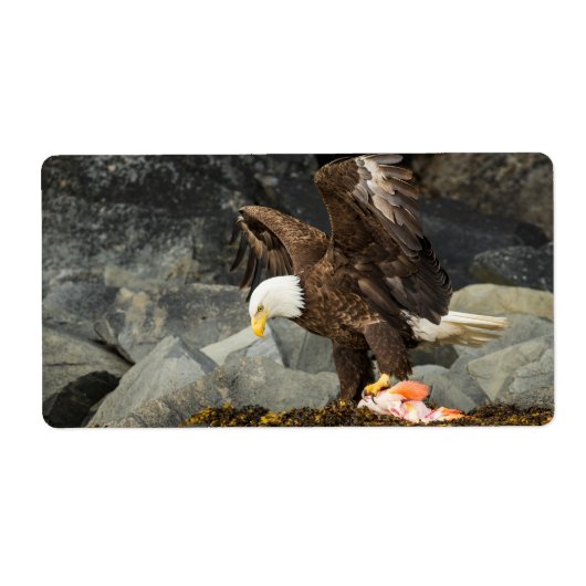 Étiquette L'aigle chauve ultime (Devant)