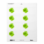 Étiquette Laitue verte (Feuille entière)