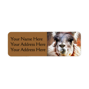 Étiquette Lama