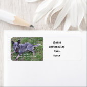 Étiquette L'amour du chien de bétail australien avec pic (En situation)