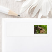 Étiquette L'amour d'une mère (En situation)