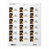 Étiquette Landseer Horses (Feuille entière)