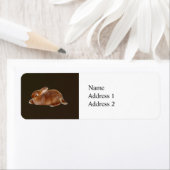 Étiquette Lapin Brown (En situation)