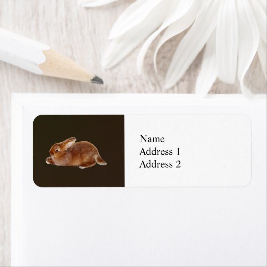 Étiquette Lapin Brown (En situation)