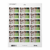 Étiquette Lapin de Pâques (Feuille entière)