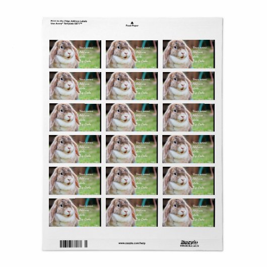 Étiquette Lapin de Pâques (Feuille entière)