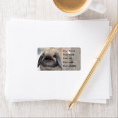 Étiquette Lapin nain à oreilles de lop (En situation)