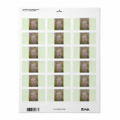 Étiquette lavande (Feuille entière)