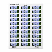 Étiquette Le Cap de Plumbago (Feuille entière)