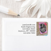 Étiquette Le chat allongé sur la plage (En situation)