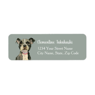 Étiquette Le chiot mignon de chien de Pitbull observe