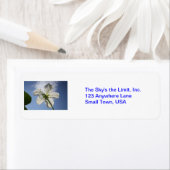 Étiquette Le ciel est la limite ! (En situation)