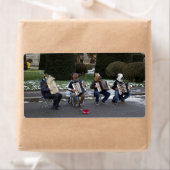 Étiquette Le concert d'animaux (En situation)