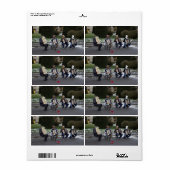 Étiquette Le concert d'animaux (Feuille entière)