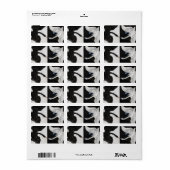 Étiquette Le cygne, no 1 de Hilma af Klint (Feuille entière)