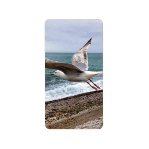 Étiquette Le goëland