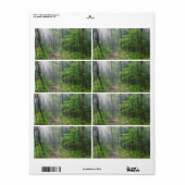 Étiquette Le sentier de la Forêt de Misty à Castle Mound (Feuille entière)