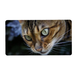 Étiquette Le superbe chat du Bengale