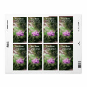 Étiquette LE violet vert SWING violet violet (Feuille entière)