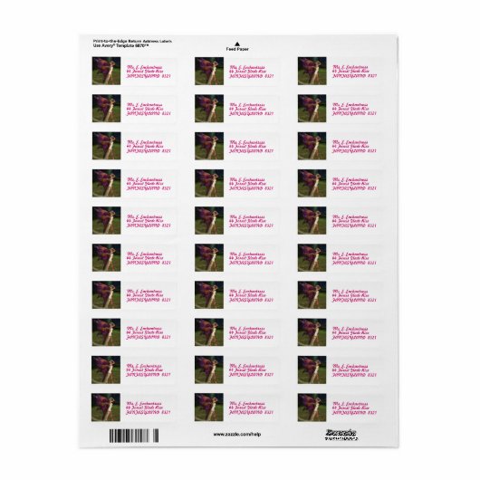 Étiquette L'Enchanteur (Feuille entière)