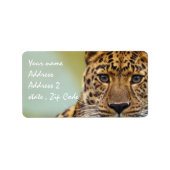 Étiquette Leopard (Devant)