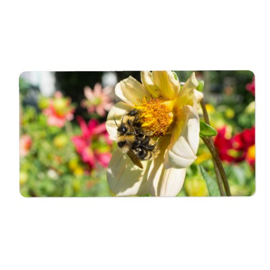 Étiquette Les abeilles sur une fleur (Devant)