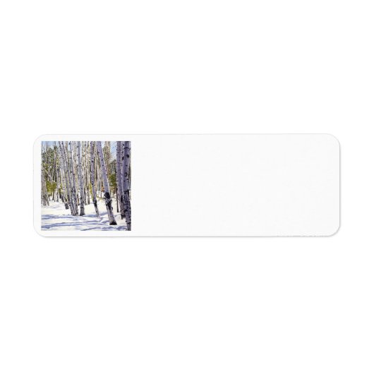 Étiquette Les arbres d'Aspen dans la forêt (Devant)