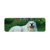 Étiquette Les Pyrénées (Devant)