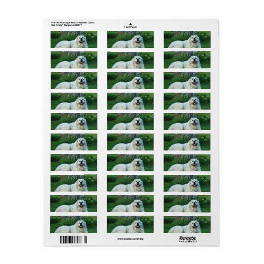 Étiquette Les Pyrénées (Feuille entière)