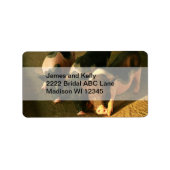 Étiquette Les Trois Petits Cochons (Devant)