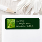 Étiquette Lézard vert sur feuille verte (En situation)