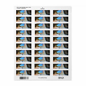 Étiquette libre-image-domaine-public-15 PIRATE TREASURE CAVE (Feuille entière)