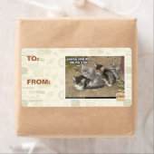 Étiquette Ligne Caturday Conga (En situation)