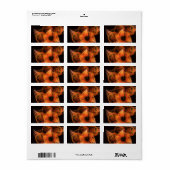 Étiquette Lignhtworks Abstract (Feuille entière)