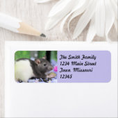 Étiquette Lil rat (En situation)