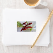 Étiquette Lily blanche, fleur. (En situation)