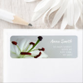 Étiquette Lily blanche. Fleur. (En situation)