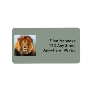 Étiquette Lion d'Afrique 1