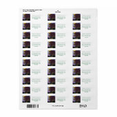 Étiquette Lion et petits (Feuille entière)