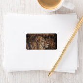 Étiquette Lion Majestic (En situation)