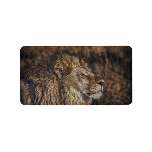 Étiquette Lion Majestic (Devant)