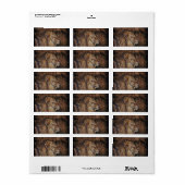 Étiquette Lion Majestic (Feuille entière)