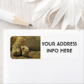 ÉTIQUETTE LION PAWS (En situation)