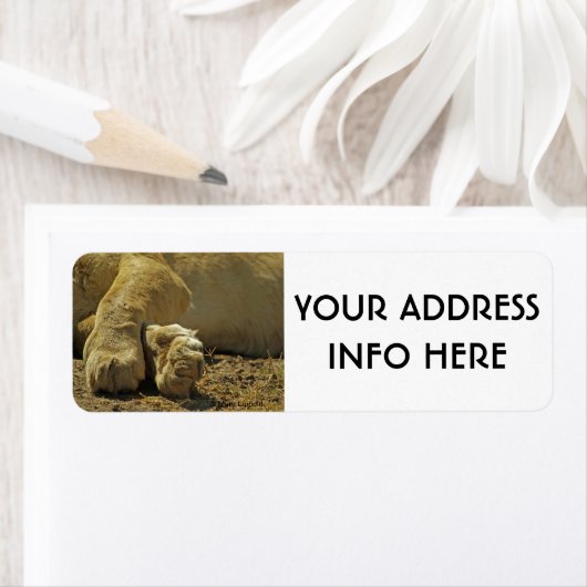 ÉTIQUETTE LION PAWS (En situation)