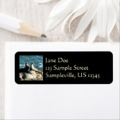 Étiquette Lions de la mer de San Diego (En situation)