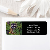 Étiquette Little Woodland Wilderness Raccoon (En situation)