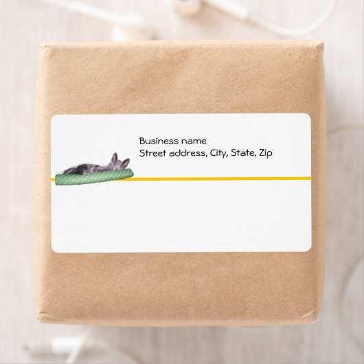 Étiquette - Livraison - Chat Lazy (En situation)